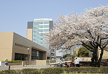 淑徳大学